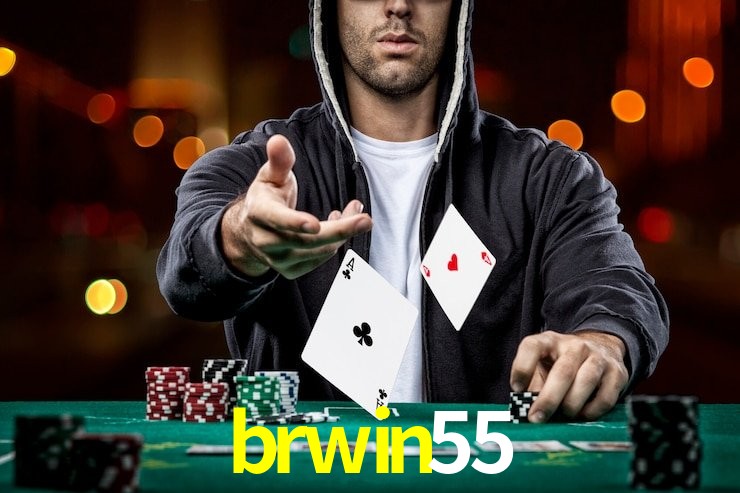brwin55 App Interface